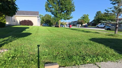 Live Mowing and testing new mic