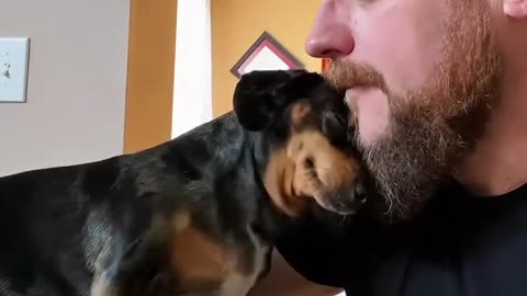 Dog's Comedy Videos 🤣 so cute videos 😍 funny videos 🤣