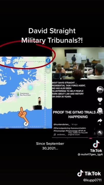 david lester straight - tribunals