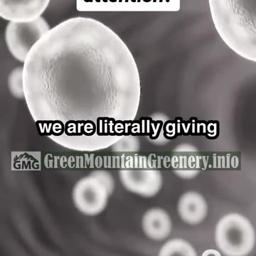 Americans Lead the World In Early Puberty, On Tucker