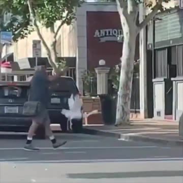 Just a man walking his goose