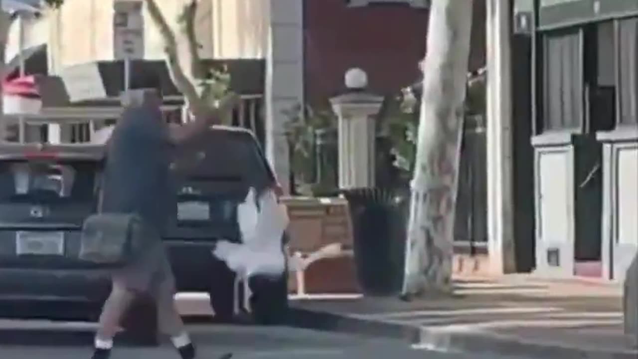 Just a man walking his goose