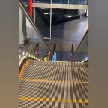 Cat Walk in electric Stairs
