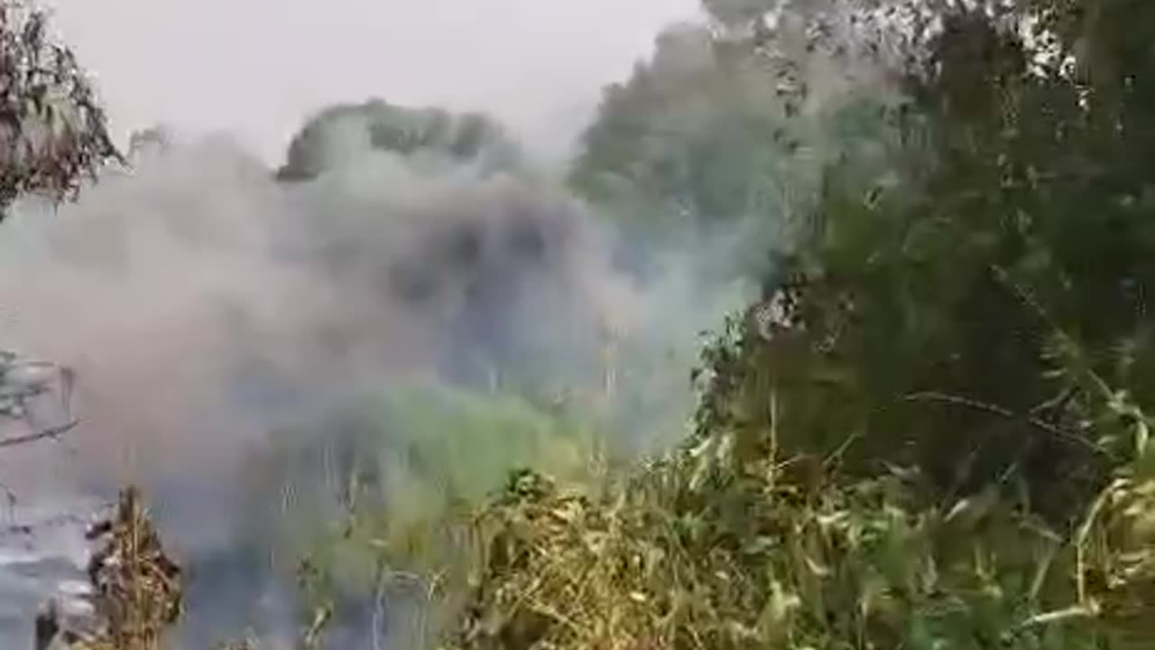 A fire broke out in the Eshtaol Forest near the settlements, evacuation