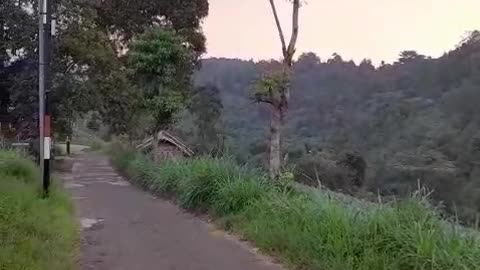 Breathtaking Views on a Motorcycle Journey