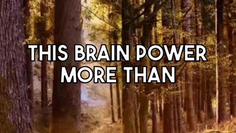 Enhancing Mental Wellbeing Through Prefrontal Cortex Strategies