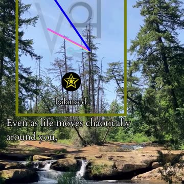 The Roots Of Renewal | Path and Tarot Reading