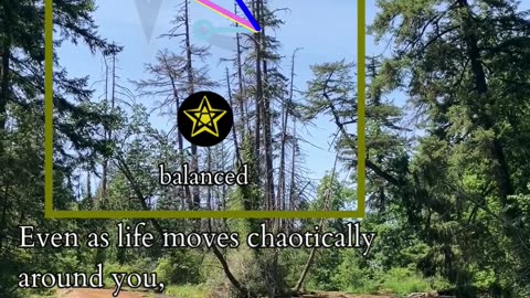 The Roots Of Renewal | Path and Tarot Reading