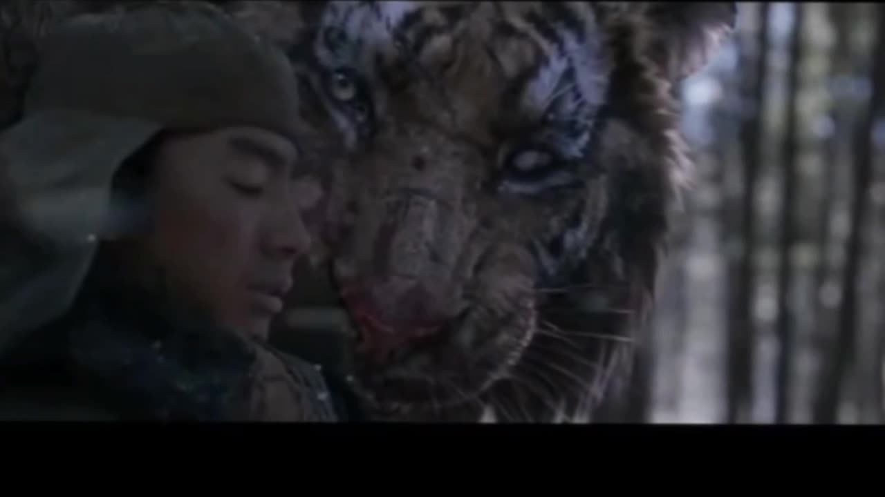 The eyes of tiger