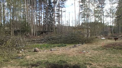 tunkion siivous, kulutus hysteria seuraukset ja vaihtoehto elämälle