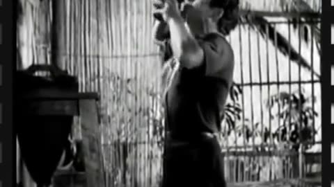 El mar y tú (1952) - Película completa - Cine Mexicano