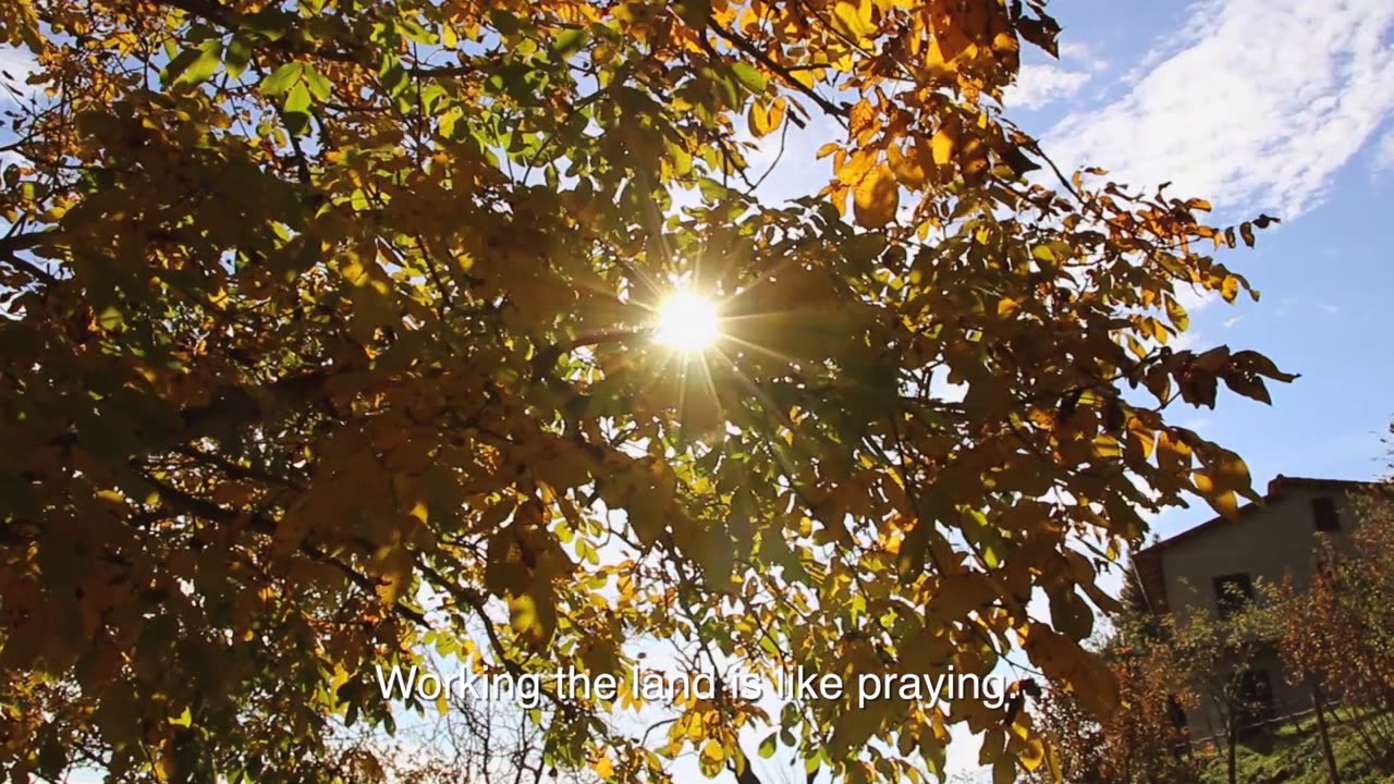 Gifts of the Angels - documentary