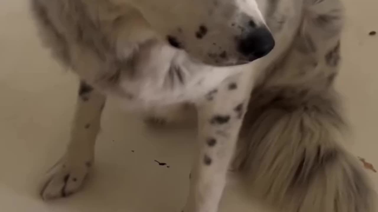 NOT My Video - But IS a Beautiful Representation of Salvation
