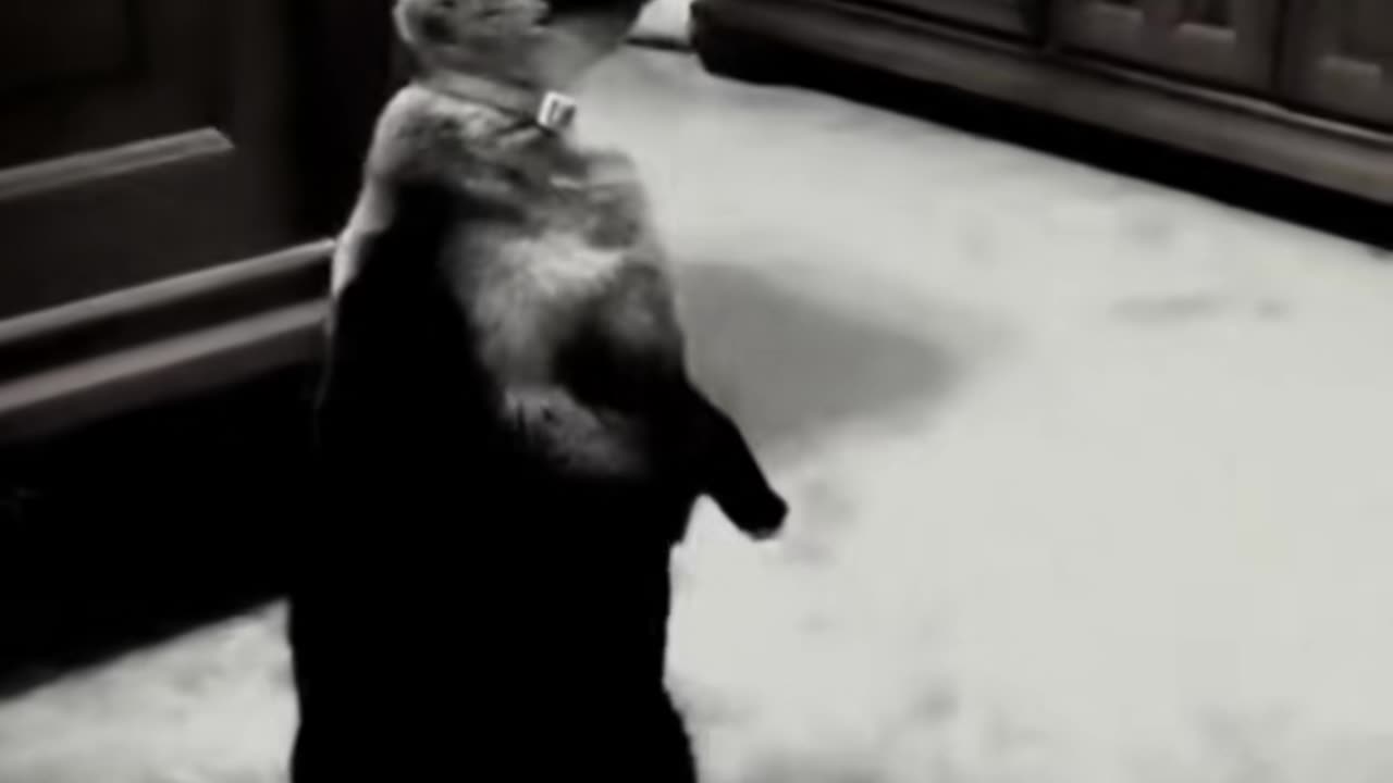 😨💥 A Terrifying Encounter in the Kitchen | TheHauntingHour