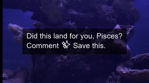 Daily Horoscope | Pisces 🌟