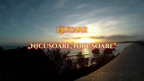 Lăutarii - Nicușoare, Nicușoare