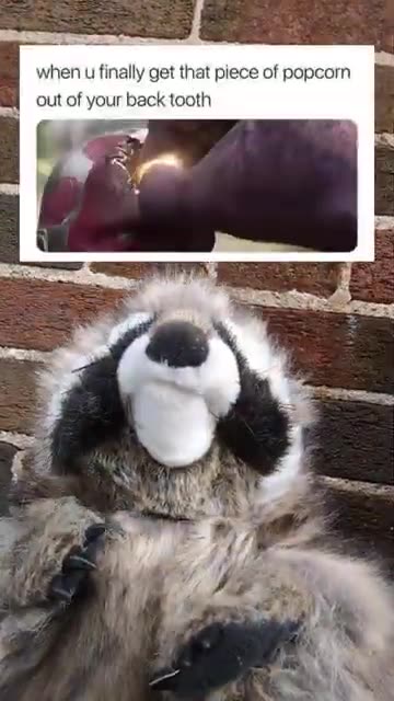 "When the Drama Starts... Pass the Popcorn!"