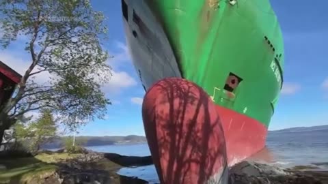 A Norwegian man awoke to find a grounded cargo ship had narrowly missed his home