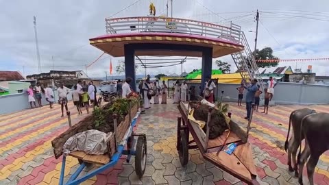 Inside India's 🤢Poop-Throwing Festival! | Tyler Oliveira