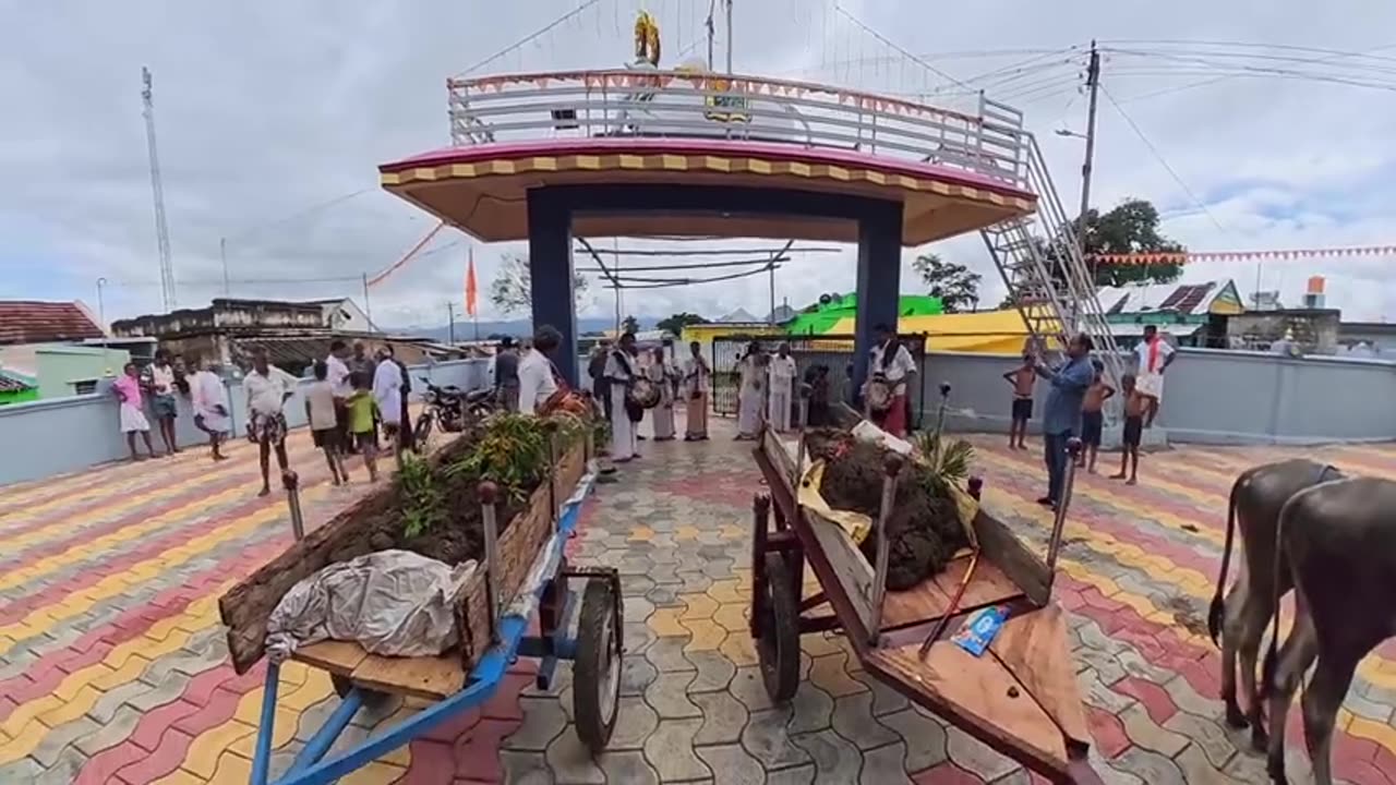 Inside Indias 🤢Poop-Throwing Festival! | Tyler Oliveira