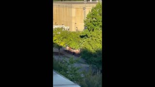 NO evidence of active shooter at Thomas Cooper Library in Columbia