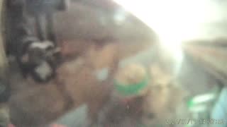 💥🔫 Ukraine Russia War | KORD Special Police Fire Grenades in Intense Urban Battle at Toretsk | RCF