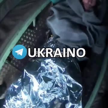 Roosters hired mice evacuate the half-dead carcass of a fascist