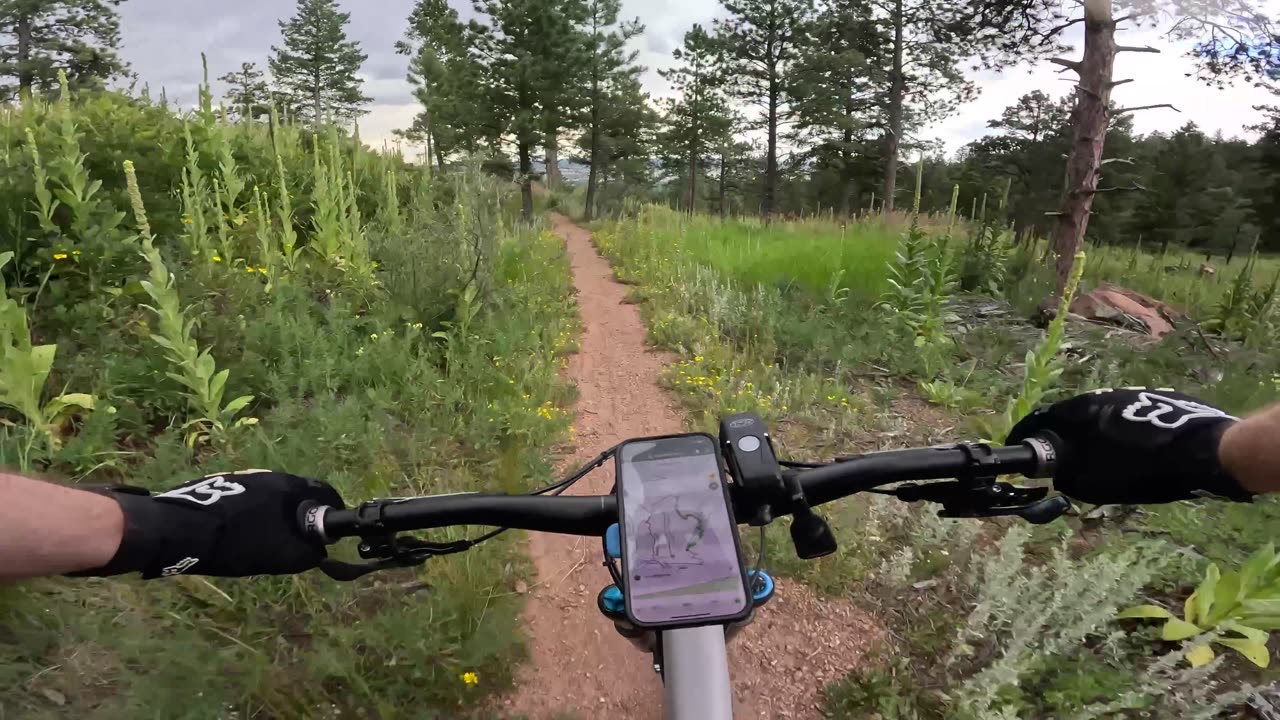 The Pipeline - Mount Herman - Monument - Colorado