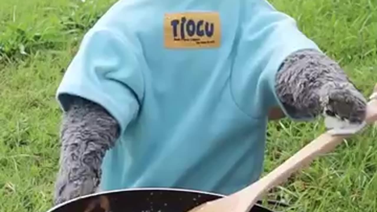 Wanna try this egg trick ? 🫢