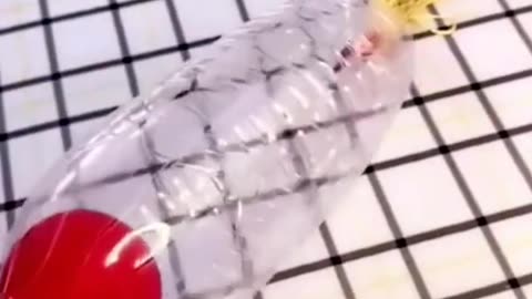 y2mate.com - amazing DIY craft shorts viral ytshorts diy gadgets trending craftsideas_1080p(1)
