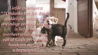 Liefde Overheerst