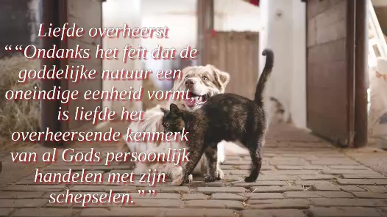 Liefde Overheerst