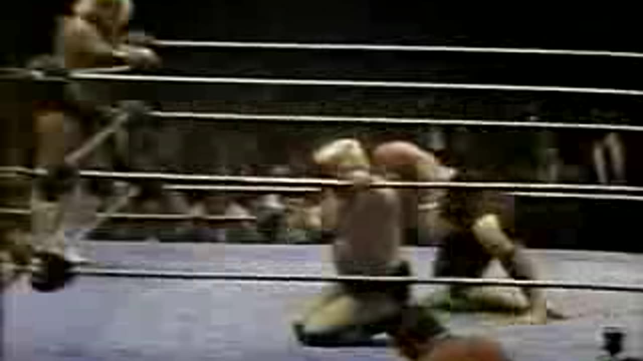 10-20-80 WWF MSG