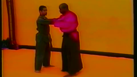 Vee Jitsu