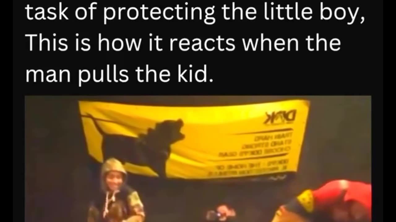 A proper trained dog is a protector