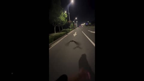 THese birds are so damn smart - This is the best clip of them I've seen all day!!