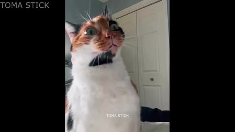 Best Falls | Stickman Dismounting compilation of funny moments 18