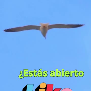 😊 117 MISTERIO REVELADO Colosenses 1:26 😊