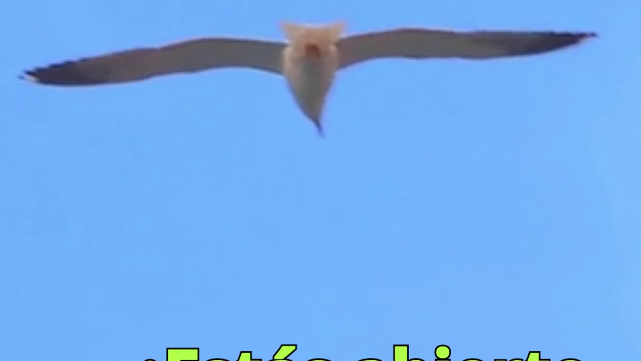 😊 117 MISTERIO REVELADO Colosenses 1:26 😊