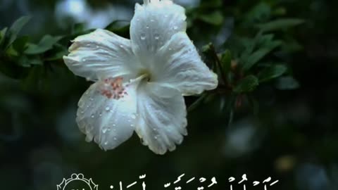 Surah Taha 20:25-29 🤲💥سورہ طہ #love #quran #like #surah #beautiful #shortvideo #shorts #shortvideo