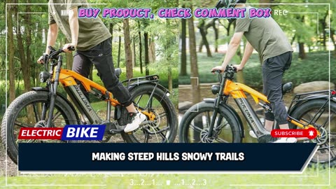 PULUMA PH003 Electric Bike 3000W Peak Power Motor 48V 20AH Battery Electric Bicycle