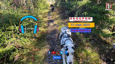 Skogpod 17. september 2025