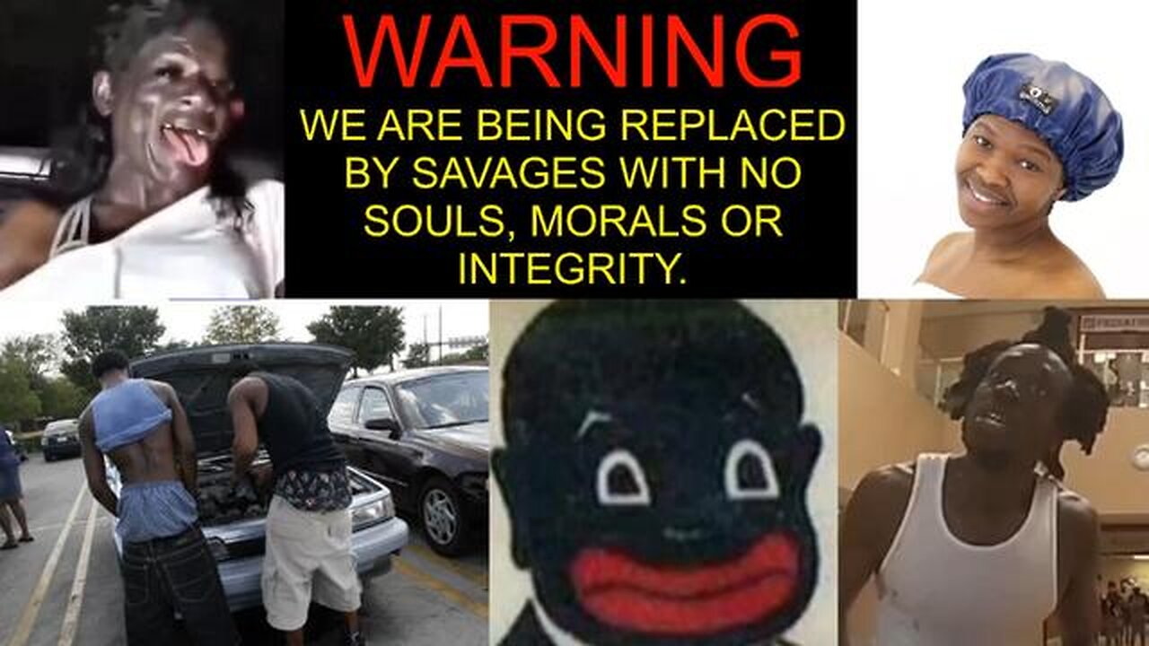 🚨⚠️Are you feeling like a stranger in the place you grew up? Thank a commie politician & 'diversity'