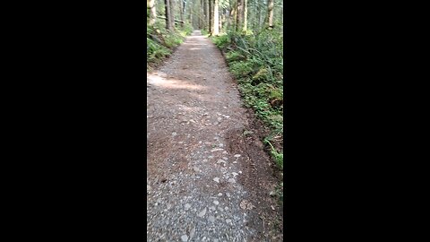Iron Goat Trail Hike 5/10/25 Part 3/12