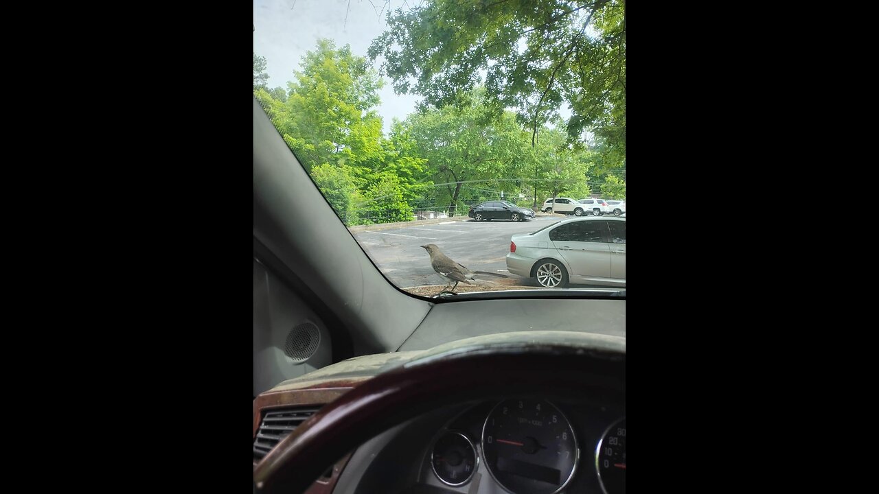 The Alex Jones Show 1st hour (05/07/2025/