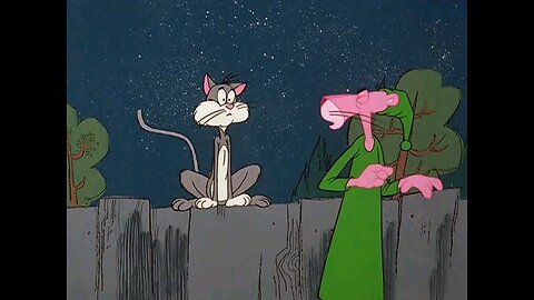 Pink Panther and Cat part -1