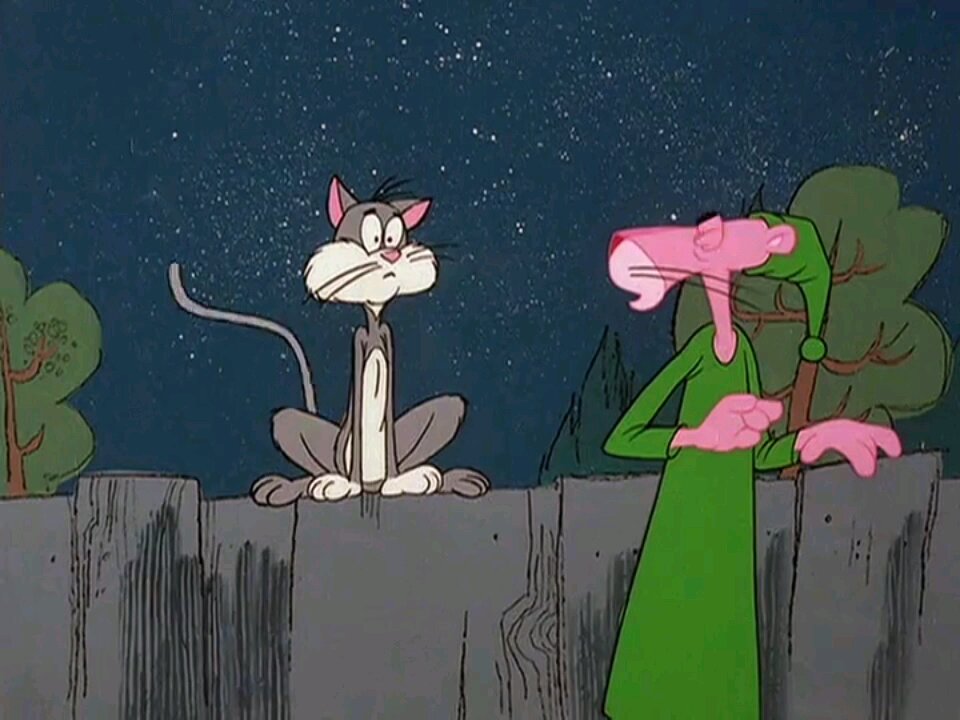 Pink Panther and Cat part -1