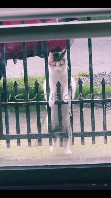 NEWSMAX2 LIVE | Real News for Real People? 🎉Happy birthday everyone🌞