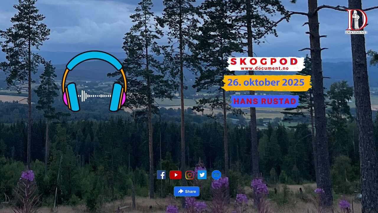 Skogpod 26. oktober 2025