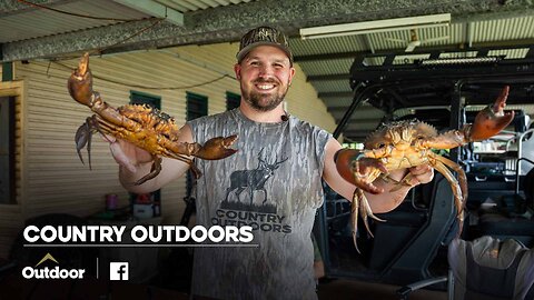 Giant Mud Crabs in the Northern Territory